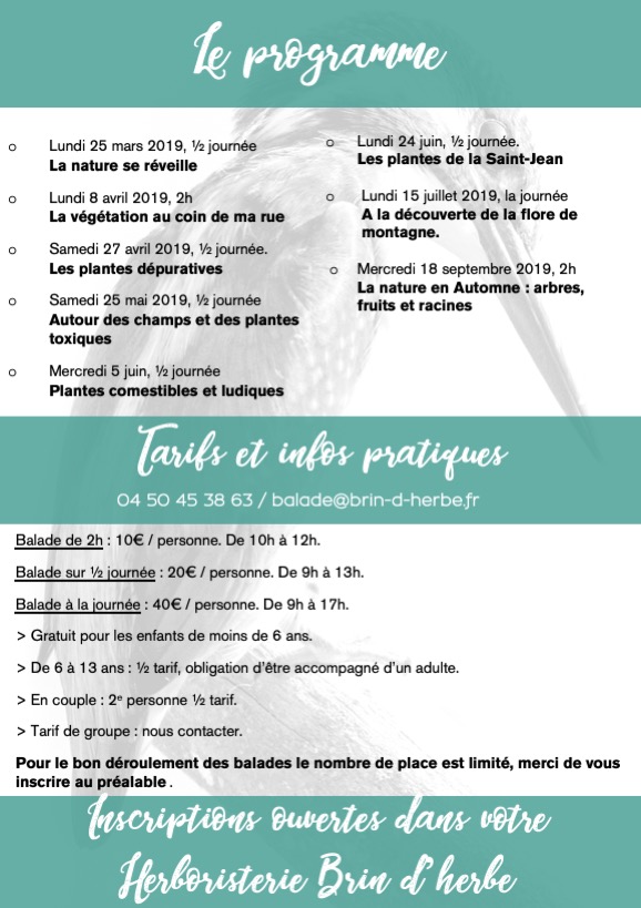 Programme des balades Botaniques by Brin d'herbe 