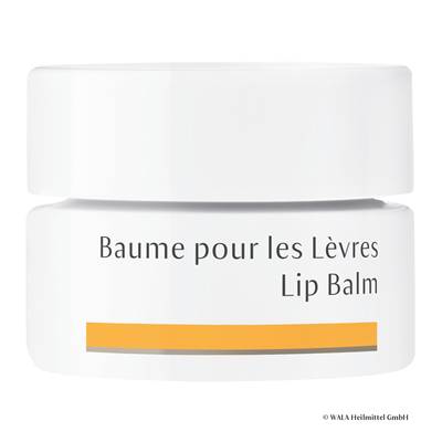 Baume pour les lèvres BIO