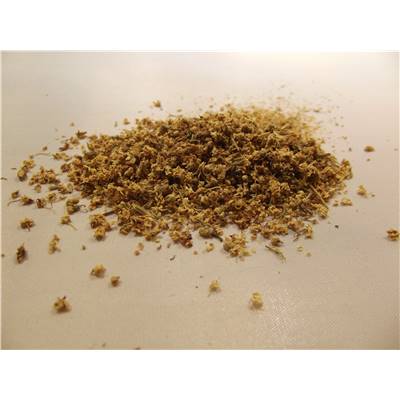 Sureau fleurs BIO 100g