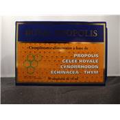 Royal Propolis ampoules