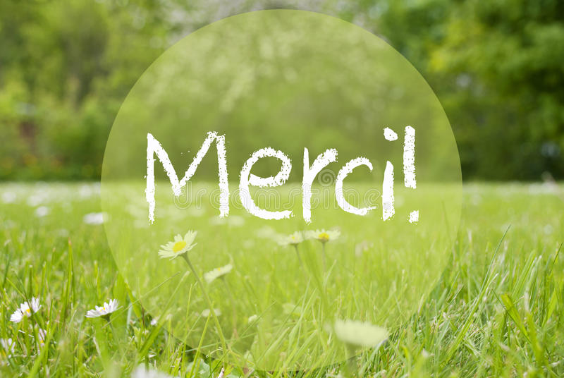 Merci !