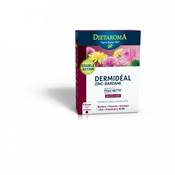 Dermidal Complexe Zinc Bardane