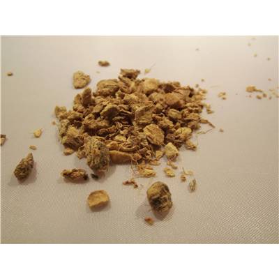 Gingembre racines BIO 100g