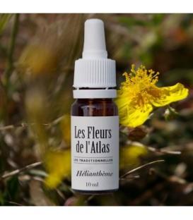 Élixir floral Hélianthème - fleur de Bach "Rock rose" sans alcool