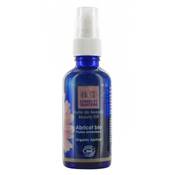 Huile végétale de noyaux d'Abricot BIO 50ml