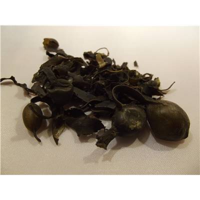 Fucus vesiculosus BIO 100 g