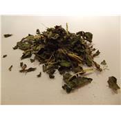 Menthe poivrée feuilles BIO 50 g