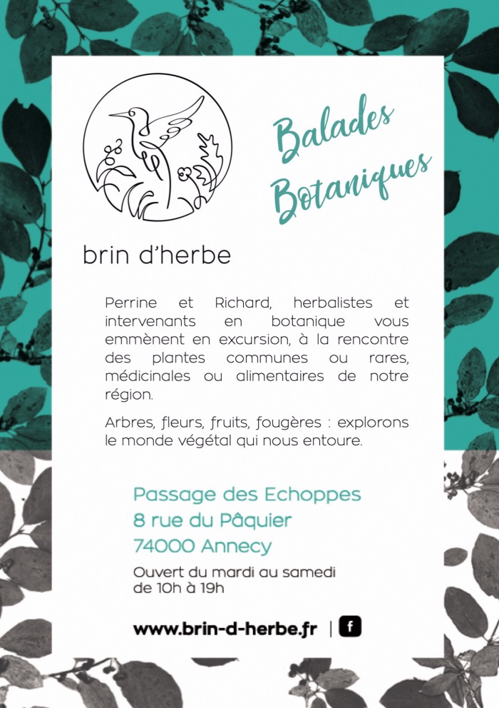 Les Balades Botaniques By Brin d'herbe ! 