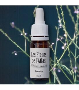 Élixir floral Verveine - fleur de Bach "vervain" sans alcool