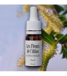 Élixir floral Saule - fleur de Bach "willow" sans alcool