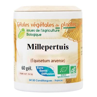 Millepertuis 60 gélules BIO