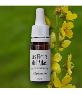 Élixir floral Aigremoine - fleur de Bach "Agrimony" sans alcool