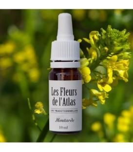 Élixir floral Moutarde - fleur de Bach "Mustard" sans alcool