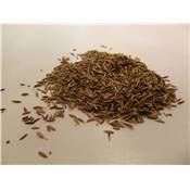 Cumin semences 100g