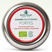 Gommes fortes Pyrenées