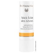Stick éclat des lèvres BIO