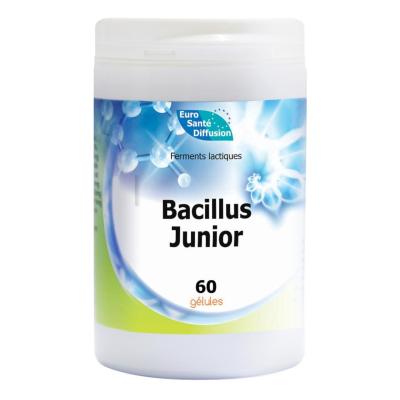 Bacillus junior