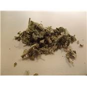 Sauge officinale feuilles BIO 50 g