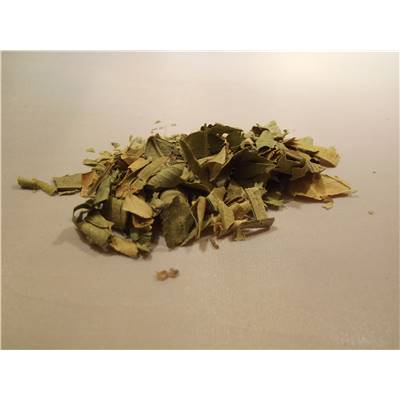 Oranger doux feuilles 100g