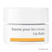 Baume pour les lvres BIO