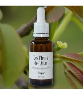 Élixir floral Noyer - fleur de Bach "Walnut" sans alcool