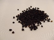 Sureau baies 100g