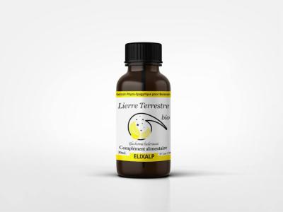 Lierre terrestre, extrait spagyrique 30ml