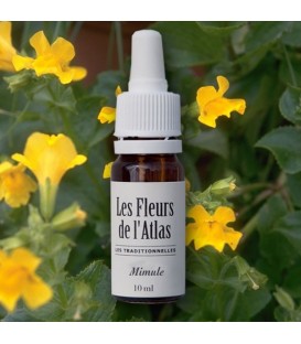 Élixir floral Mimule - fleur de Bach "Mimulus" sans alcool